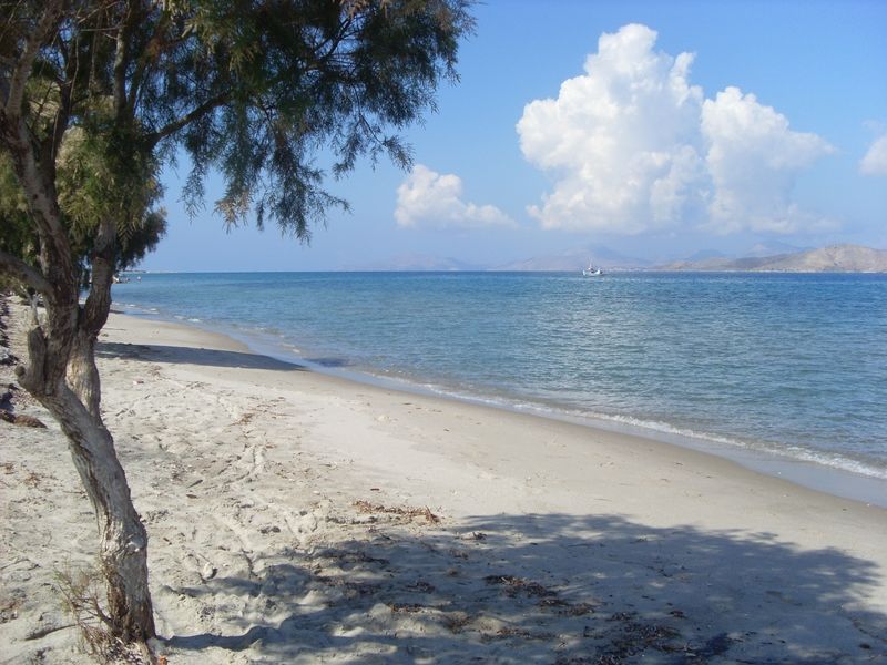 Pelopas Tigkaki (Kos) Exterior foto